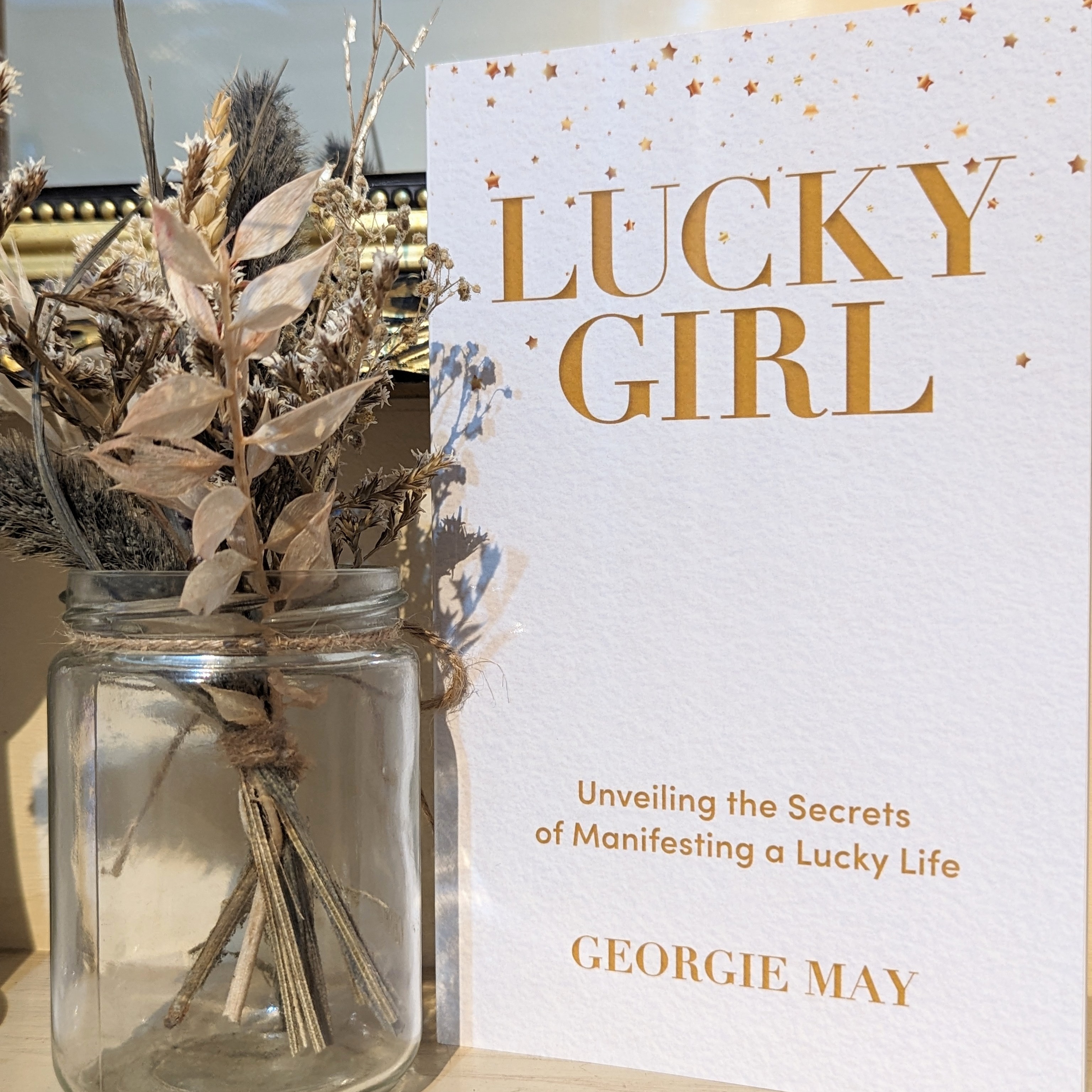 Lucky Girl book